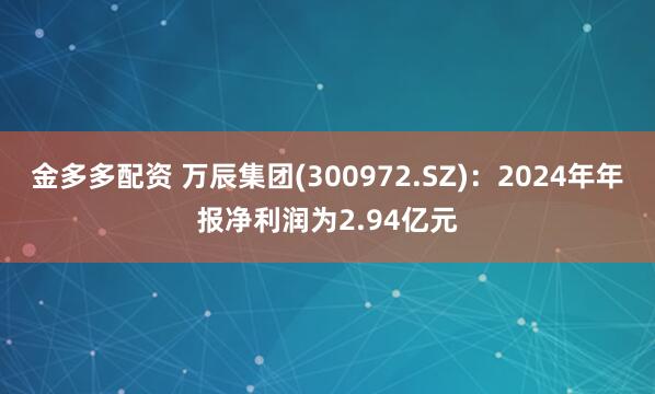 金多多配资 万辰集团(300972.SZ)：2024年年报净利润为2.94亿元