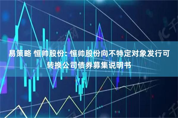 易策略 恒帅股份: 恒帅股份向不特定对象发行可转换公司债券募集说明书