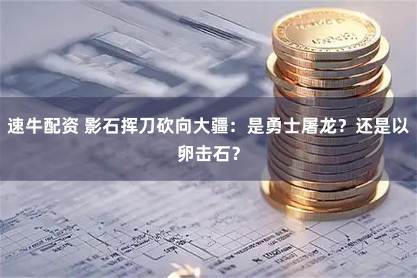 速牛配资 影石挥刀砍向大疆：是勇士屠龙？还是以卵击石？