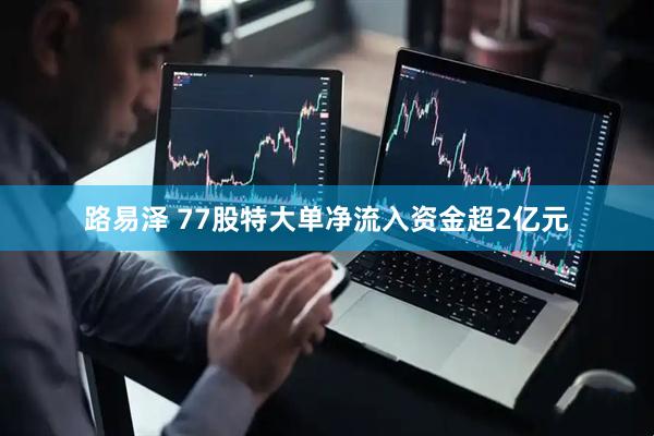 路易泽 77股特大单净流入资金超2亿元
