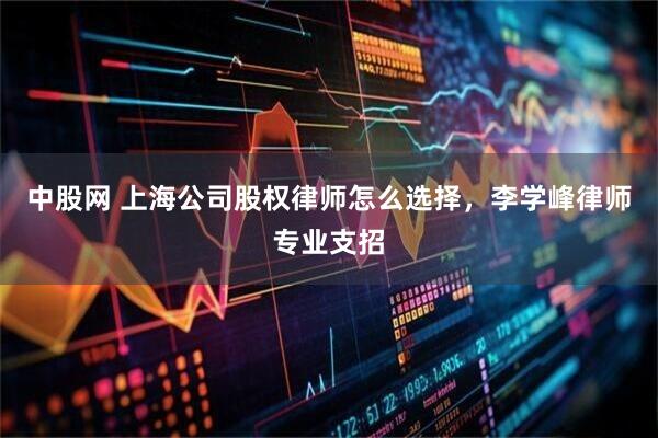 中股网 上海公司股权律师怎么选择，李学峰律师专业支招